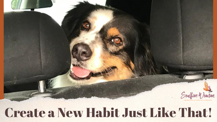Lesson #14: Create a New Habit Just Like That!